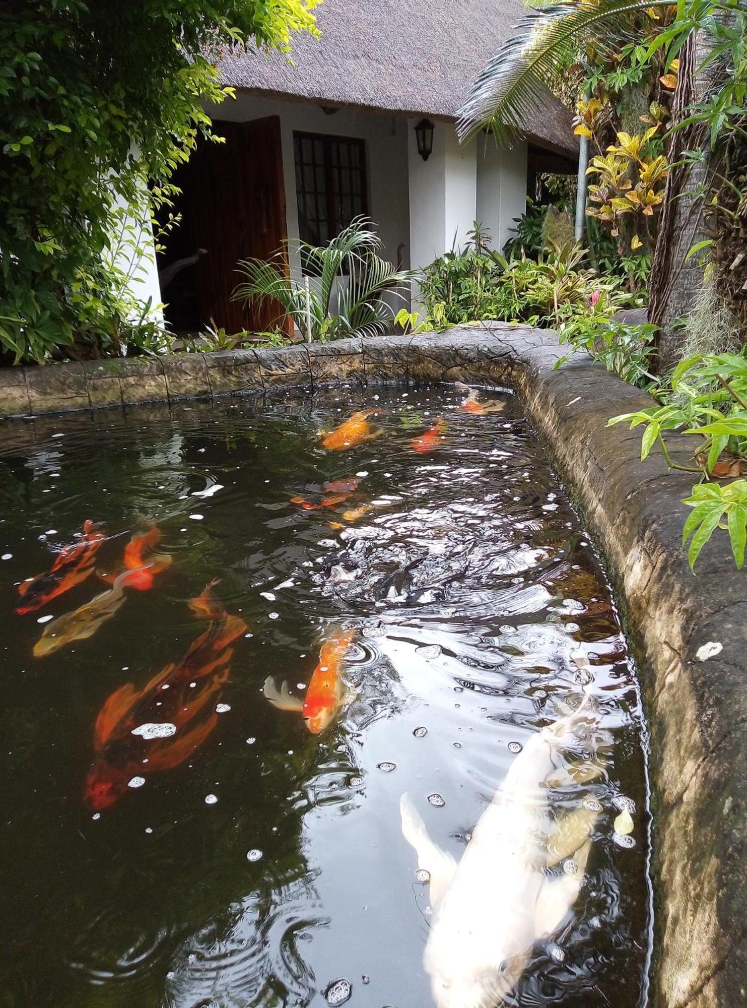 African Ambience Guest House Saint Lucia Estuary Екстериор снимка
