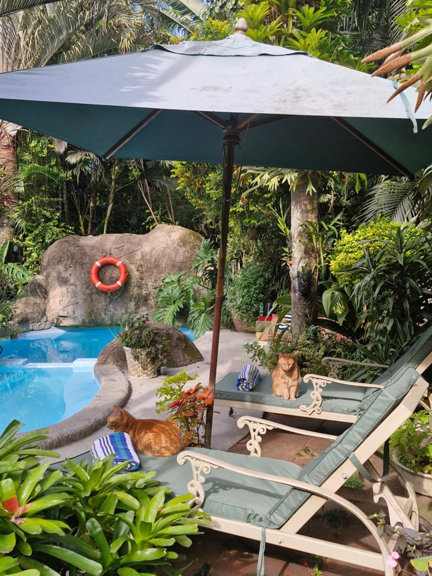African Ambience Guest House Saint Lucia Estuary Екстериор снимка