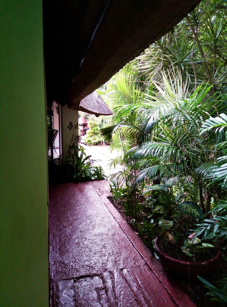 African Ambience Guest House Saint Lucia Estuary Екстериор снимка